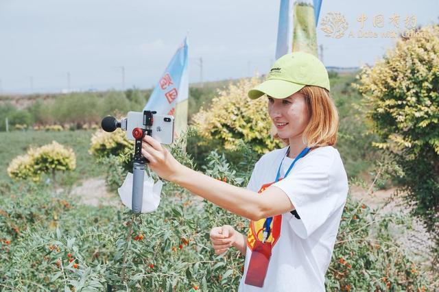 枸杞红 日子火 宁夏绘就塞上“富春山居图”